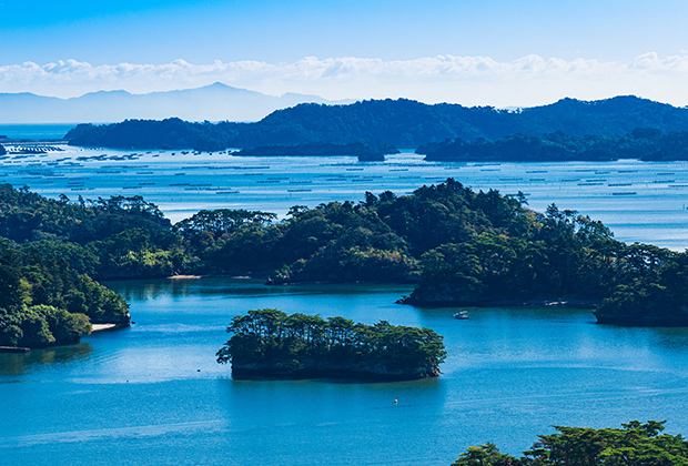 松島の風景