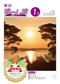 平成31年1月号の画像