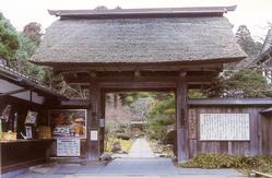 圓通院山門の画像
